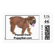 Peanut, English bulldog, stamp