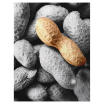 peanut letterhead