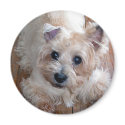 Peanut magnets by morningstar49 Peanut magnets