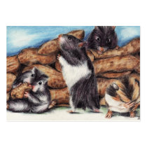 Peanut Masons (Hamster) ACEO Art Trading Cards business cards by jaisjewels Peanut Masons (Hamster) ACEO Art Trading Cards business cards