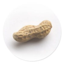 Peanut Sticker by ahlee72 Peanut Sticker