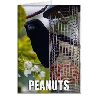 meme magpie peanuts greeting card cards birthday