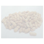 Peanuts Personalized Letterhead