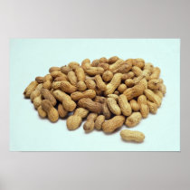 Peanuts Poster