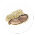 Peanuts stickers