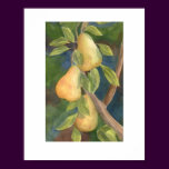 "Pear Tree"