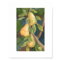 "Pear Tree" posters