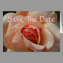 Pearch Rose cards by sharpcreations Pearch Rose cards