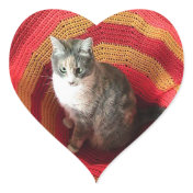 Pearl Cat on Afghan Heart Stickers
