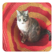 Pearl Cat on Afghan Sticker
