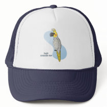 Pearl Cockatiel Hat
