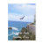 mexico, mexican, mazatlan, cliff, diver, pacific,