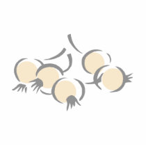 Pearl Onions Photo Cutouts