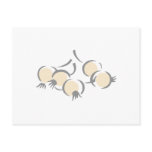 Pearl Onions Postcards