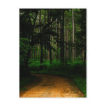 Pearl River Wildlife - Ross Barnett Reservoir Post Cards
