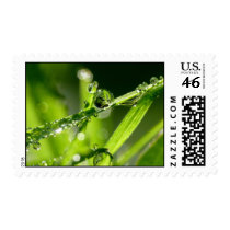 Pearls postage by gabii40 Pearls postage