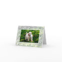 Pearly Gaits Note Card