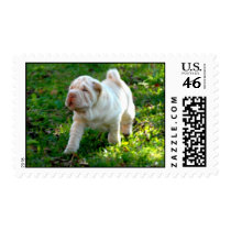 Pearly Girlie Postage Stamps