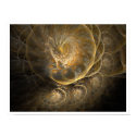 Pearly Nautilus posters