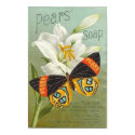 Pears Sopa Butterfly posters