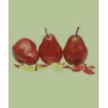Pears