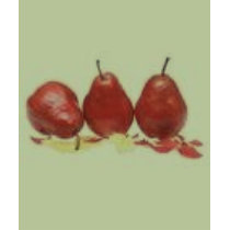 Pears t-shirts by JRaeHunter Pears t-shirts