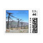 Pearsoll Peak Fire Lookout Postage Stamp