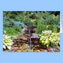 Pearson Waterfall cards