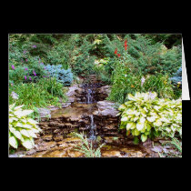 Pearson Waterfall cards