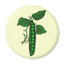 Peas in Pod Magnets