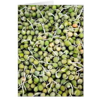 Peas Sprouts