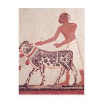 Peasant leading a cow to sacrifice post cards