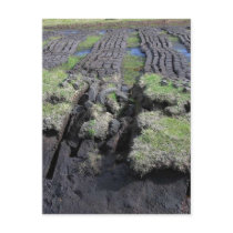 Peat Cutting In Ireland postcards
