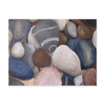 Pebble Menagerie Postcard