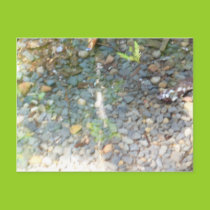 Pebbles in a Stream Postcard