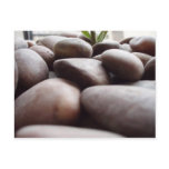 Pebbles in Surrey postcards