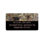 Pebbles in Taylor Creek Address Label