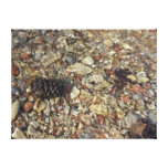 Pebbles in Taylor Creek Canvas Print