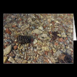 Pebbles in Taylor Creek Card