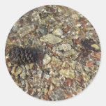 Pebbles in Taylor Creek Sticker