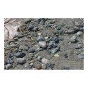 pebbles in the sand posters by procne pebbles in the sand posters