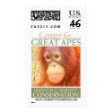 Pebbles postage by CenterforGreatApes Pebbles postage