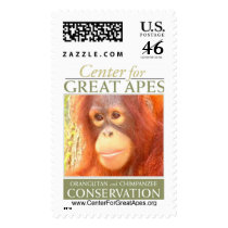 Pebbles Postage Stamp