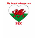 Pec t-shirts by ValentinesDayTshirts Pec t-shirts