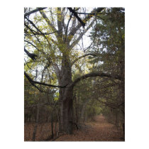 Pecan Gateway posters