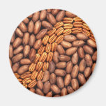 Pecans Fridge Magnet