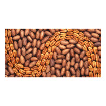 Pecans Photo Card Template