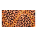 Pecans photo cards