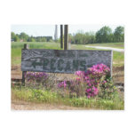 Pecans This Way Sign w/ Azaleas postcards
