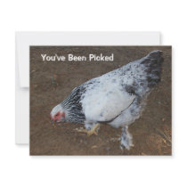 Pecking Chicken Personalized Announcements